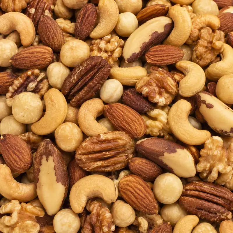 Deluxe Salted & Roated Mixed Nuts 1lb Bulk - 16oz Premium Roasted Assortment Featuring Cashews, Brazil Nuts, Blanched Almonds, Pecans, Filberts, Macadamias & Walnuts - Heart-Healthy Vegan Snacking for Office & Parties